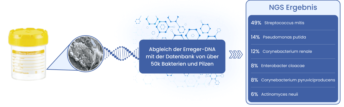 Decoding DNA