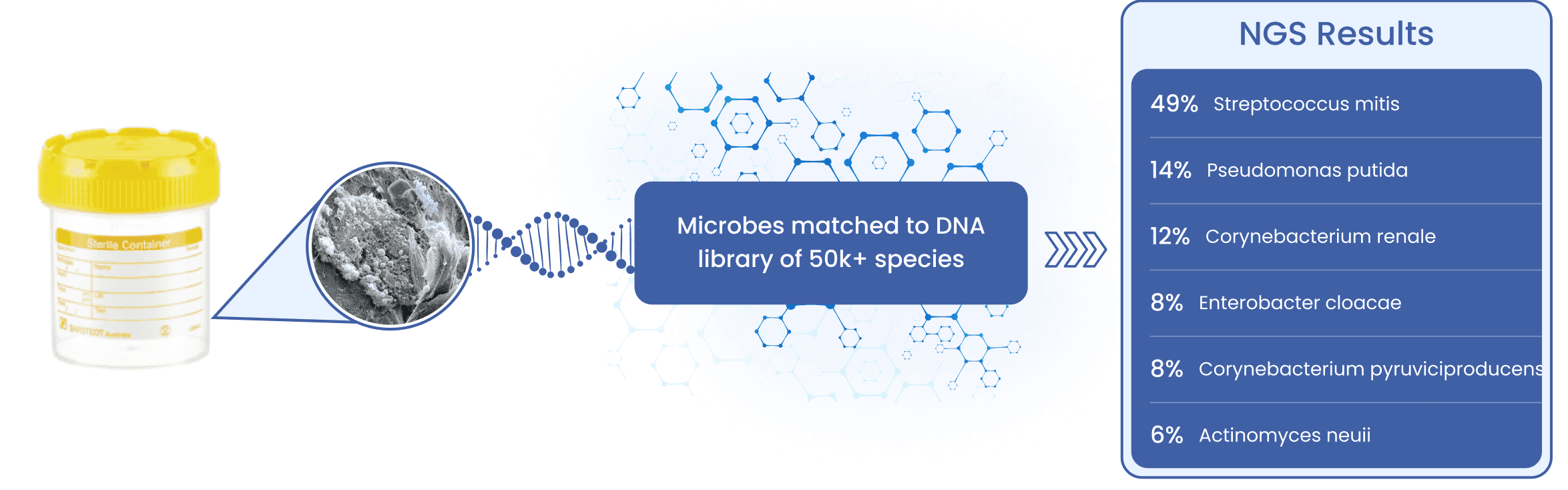 Decoding DNA