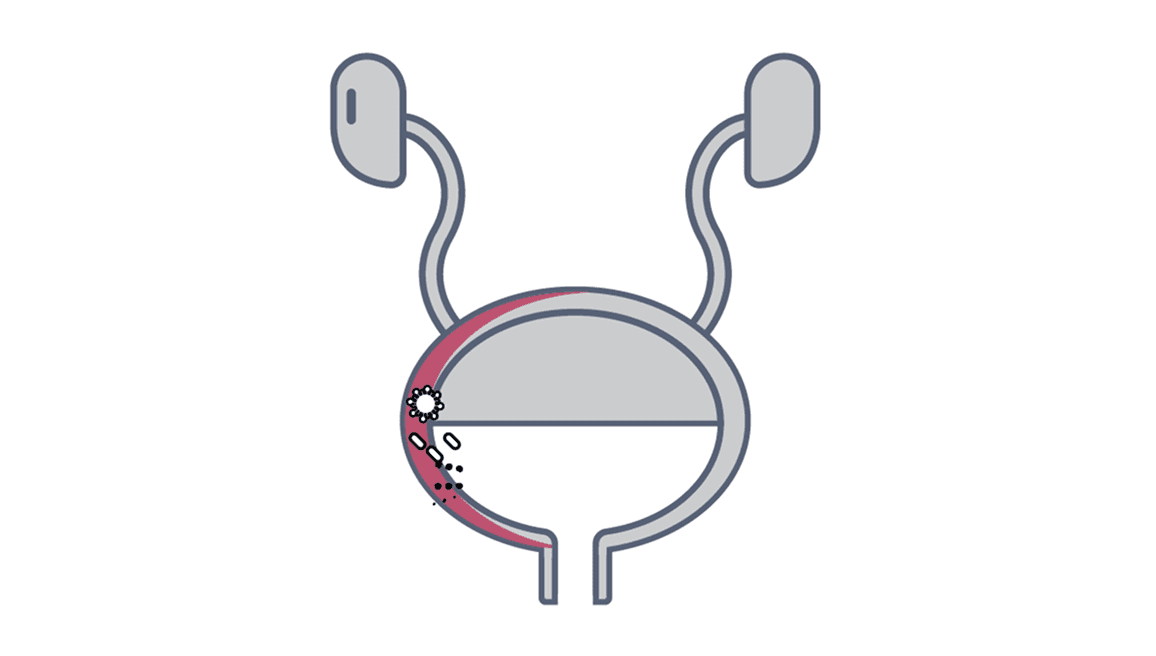 clinical cases image