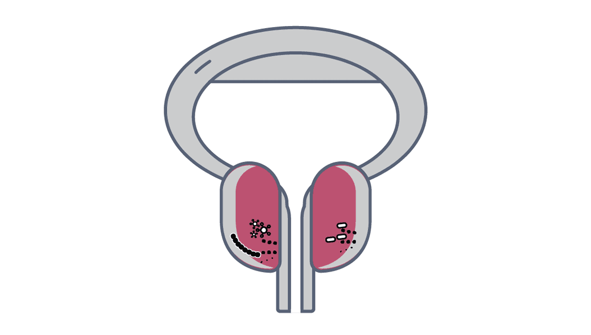 clinical cases image